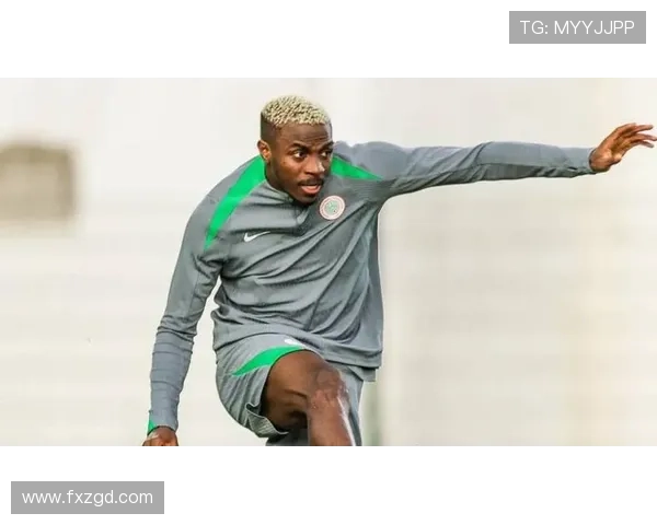 奥斯梅恩生涯荣誉解析:意甲冠军与金靴荣誉的真实含金量 奥斯梅恩生涯荣誉解析:意甲冠军与金靴荣誉的真实含金量